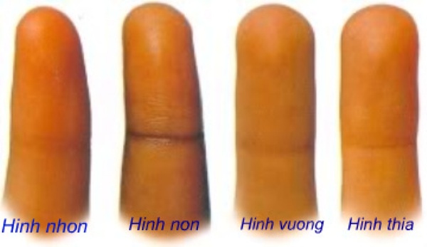 Cách xem tướng đoán tính cách con người qua hình dạng ngón tay – 