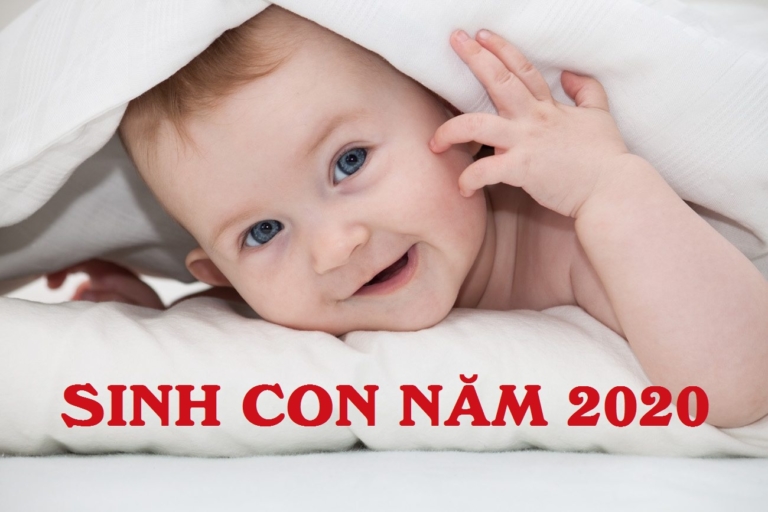 Sinh con năm 2020 Canh Tý thuộc mệnh gì Năm con gì